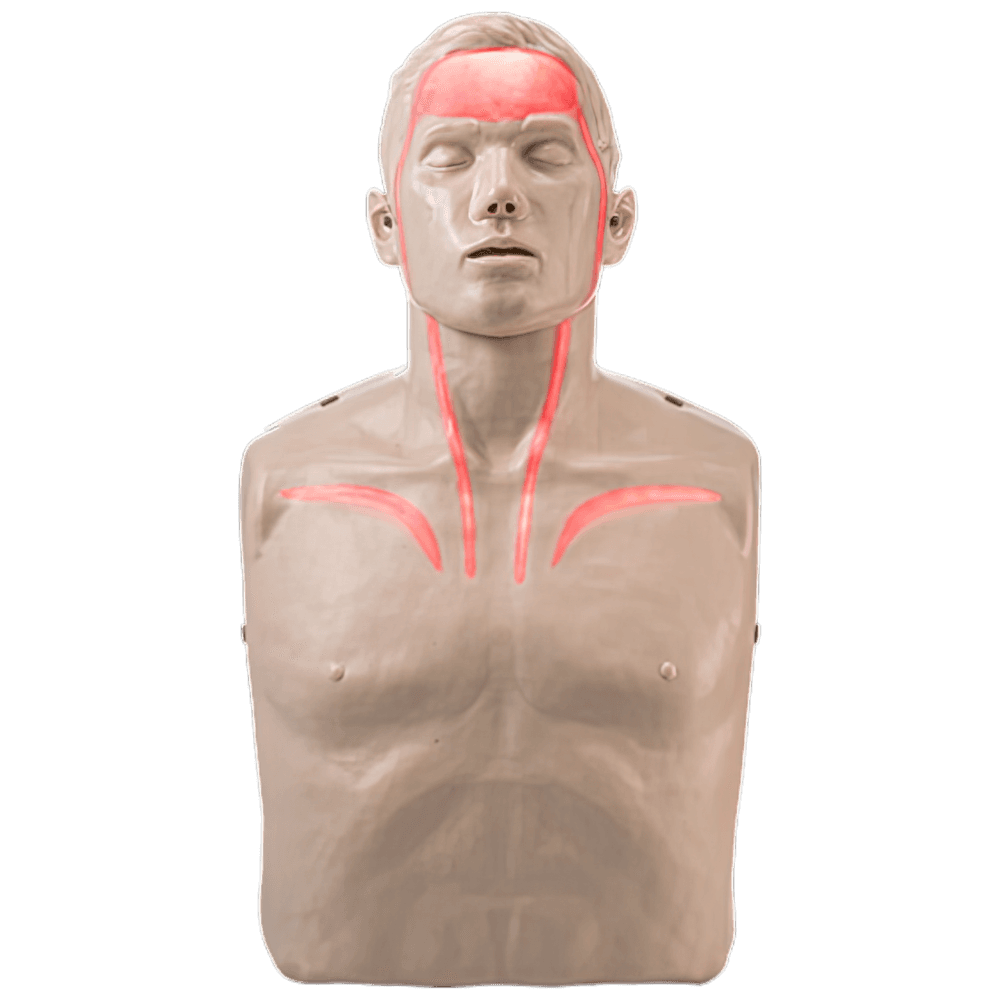 Aero Healthcare BRAYDEN Pulse CPR Manikin (With Lights)