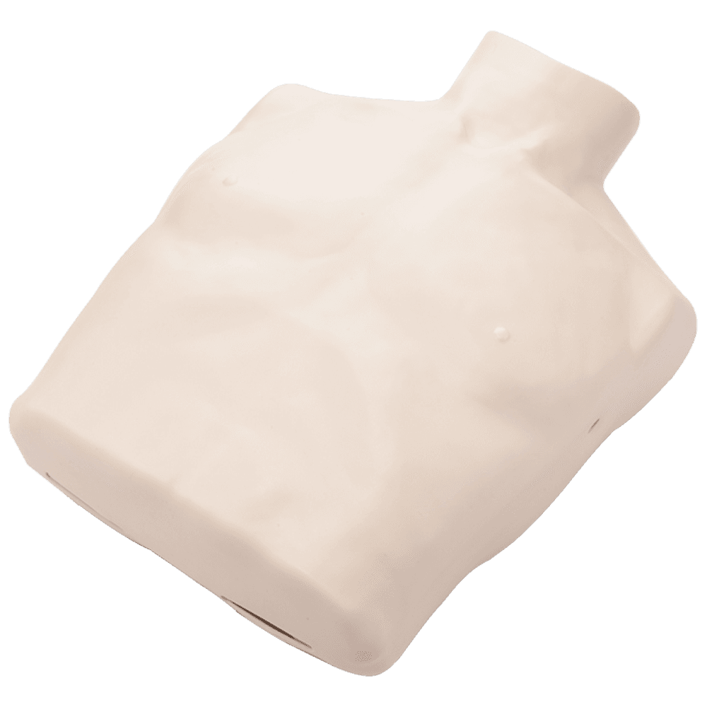 Aero Healthcare BRAYDEN Manikin Body Skin - Adult