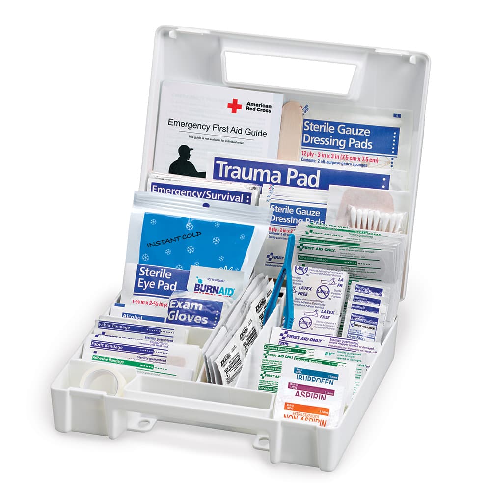 First Aid Kit, 200 Piece, Plastic Case