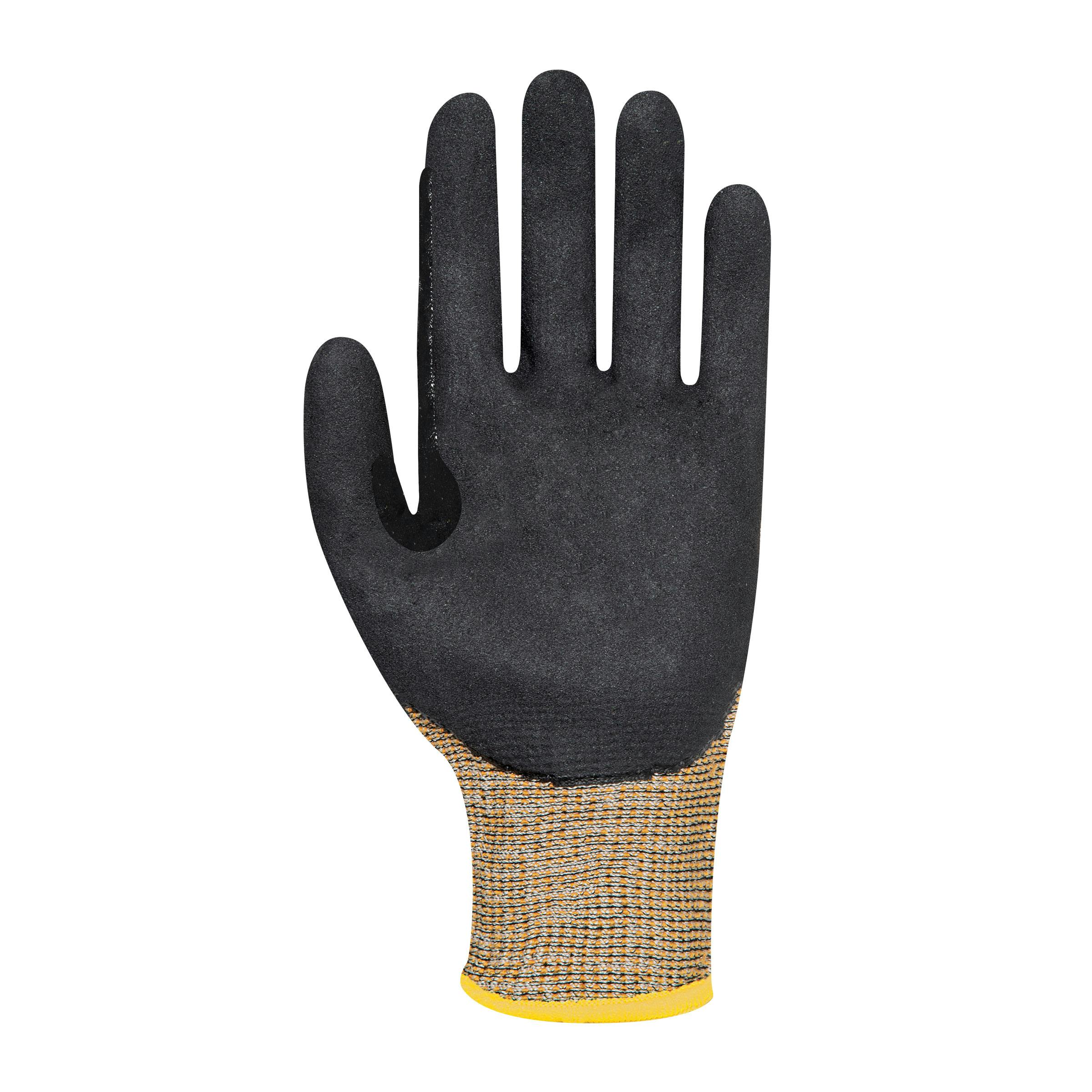 Graphex Premier Cut Glove (Cut Level F)_2