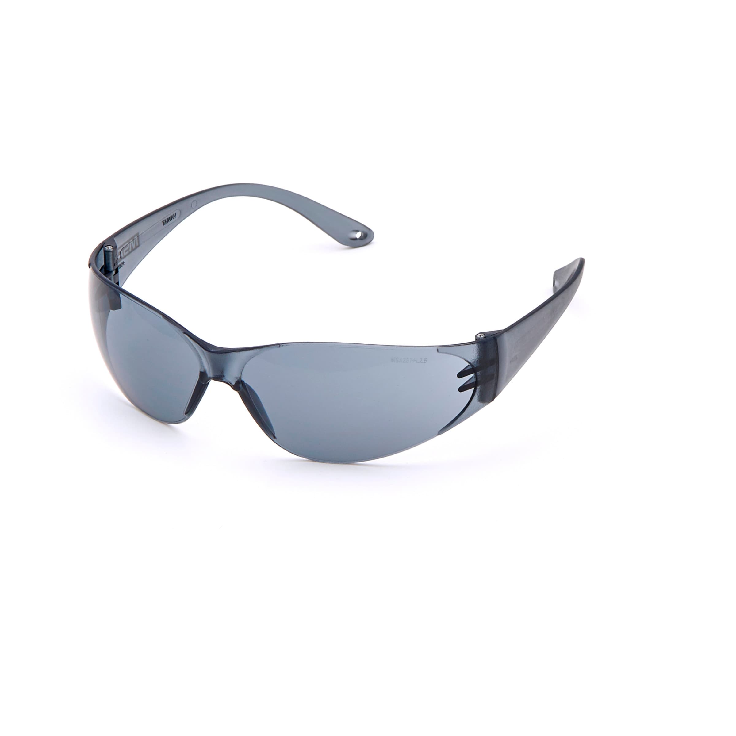 MSA Arctic Spectacles, Gray, Outdoor