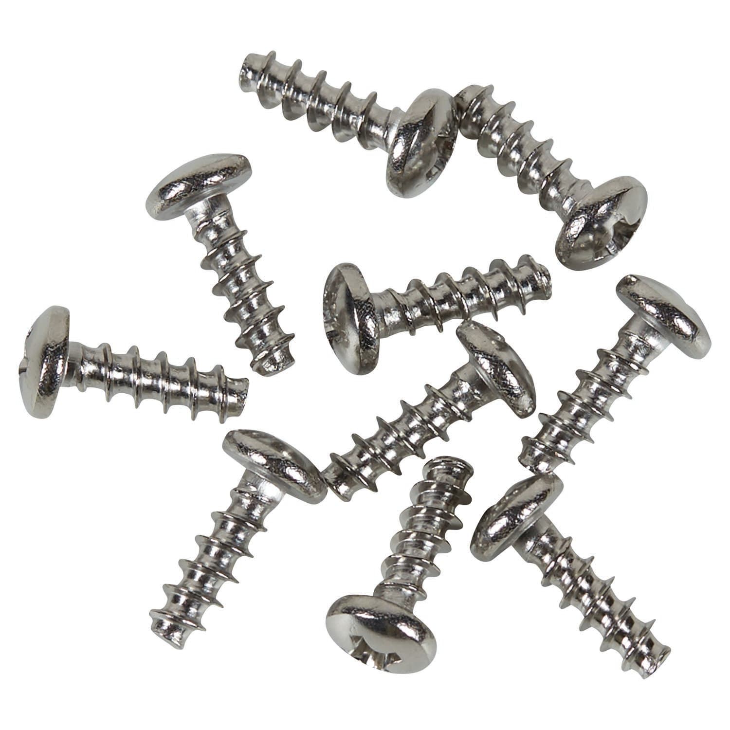 Pratt Stainless Steel Screws For Triple Aerated  Eye & Face Wash Pk Of 10_0