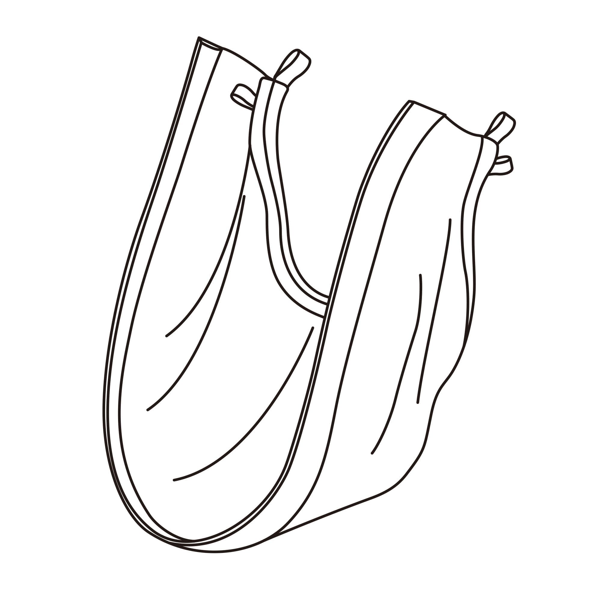 Vanguard G4 Standard Face Seal