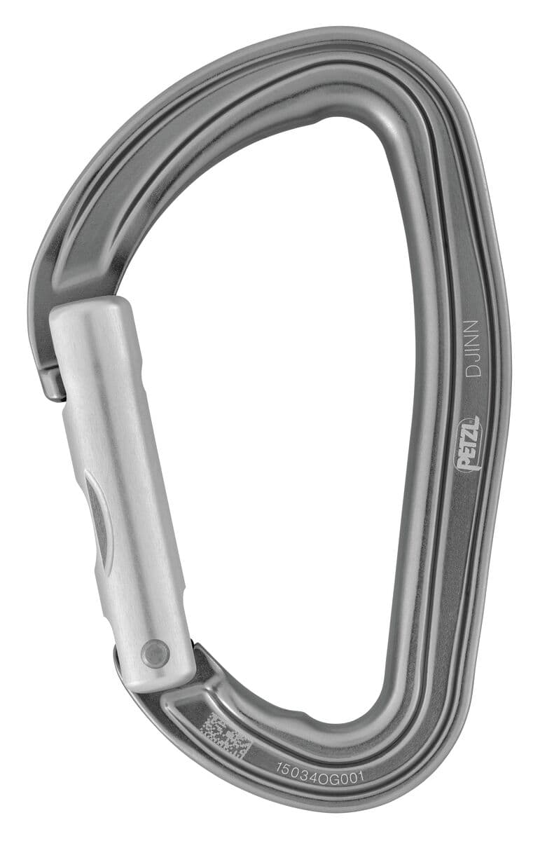 Petzl Djinn Carabiner (Straight Gate) - Grey