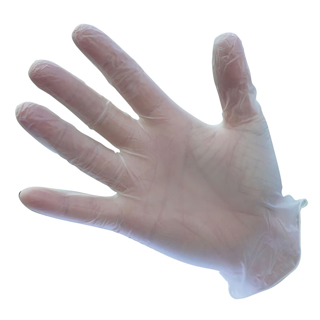 Portwest Powder Free Vinyl Disposable Glove (Clear)