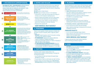 FastAid Emergency First Aid Information Booklet, Basic, Dl Size