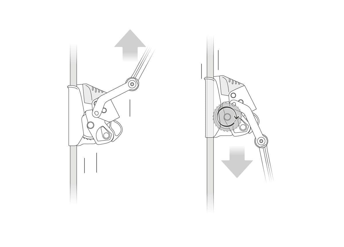 Petzl ASAP LOCK + ASAP'sorber (B071BB0)
